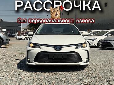 byd yan plus: Toyota Corolla: 2021 г., 1.8 л, Вариатор, Гибрид, Седан — 1