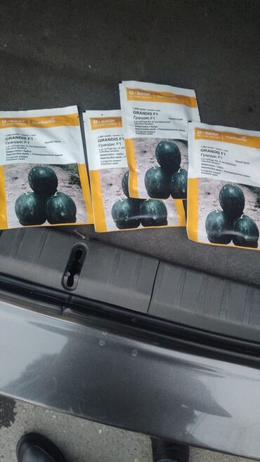 Toxumlar: Aluzze qarpiz toxumu — 28