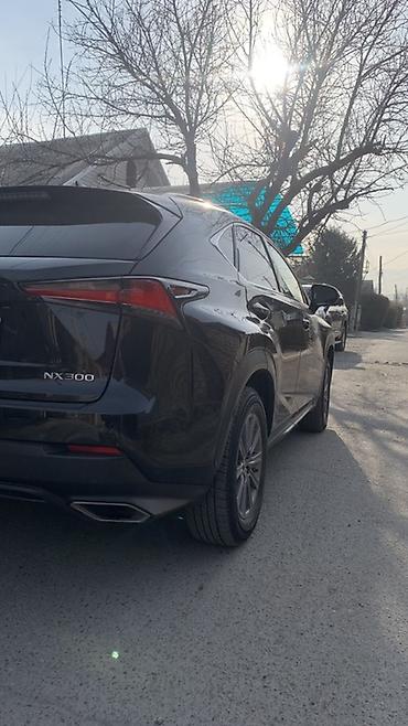 Lexus: Lexus NX: 2019 г., 2 л, Автомат, Бензин, Кроссовер — 4