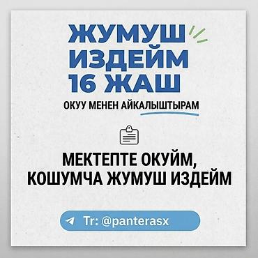 Помощник. Без опыта