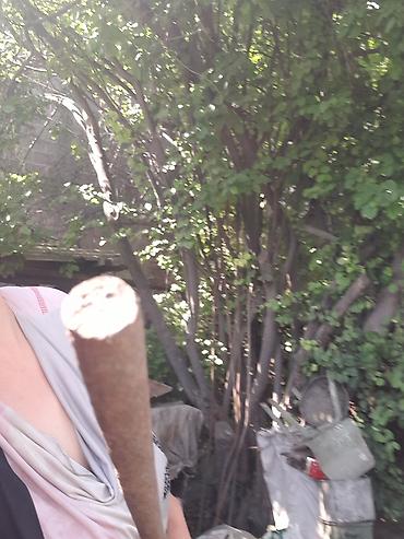 Металлические трубы для заборов: Продается кругляк в хорошем состоянии,7 шт больших и 4 железные — 12