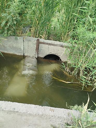 Продажа участков: 500 соток, Для сельского хозяйства, Красная книга — 4