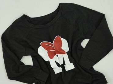 t shirty z wilkiem: Women`s sweatshirt, Size L (EU 40)