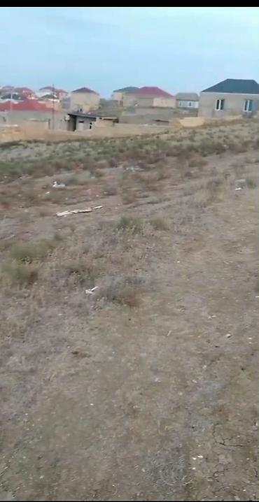 kurdaxani: 65 sot, Tikinti, Kupça (Çıxarış) — 2