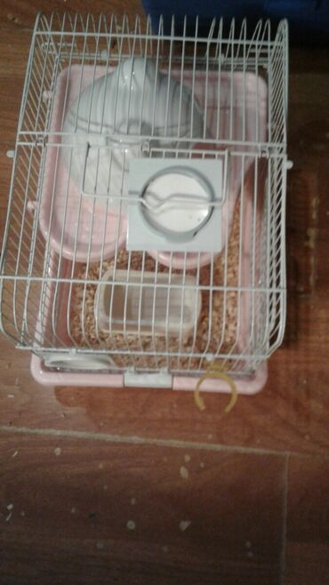 Qəfəslər: Xamyak ucun Qefes satilir qiyməti 25 azn bashqa qefeslerde var -da lalafo.az — 23 Qəfəslər: Xamyak ucun Qefes satilir qiyməti 25 azn bashqa qefeslerde var — 23