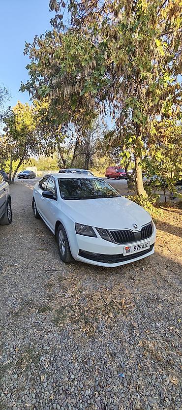 Продажа авто: Skoda Octavia: 2018 г., 1.6 л, Автомат, Газ, Седан — 3