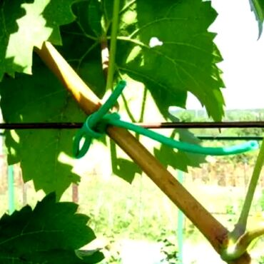 Qayçılar, bıçaqlar: Yeni Bağ qayçısı, Rayonlara çatdırılma, Ödənişli çatdırılma, Ünvandan götürmə — 7