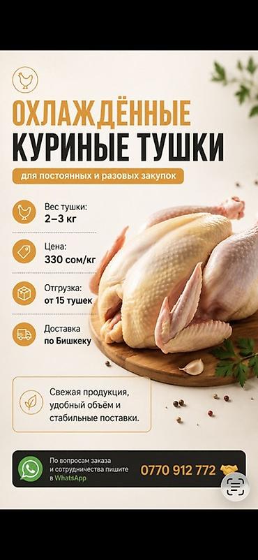 курен: Охлаждённые куриные тушки - Вес одной тушки: 2–3 кг - Цена: 330 — 1