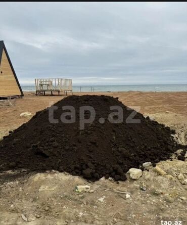 Ağaclar: Hər vaxtınız xeyir olsun dəyərli müştərilərimiz. Bizə vaxt ayırdığınız — 11