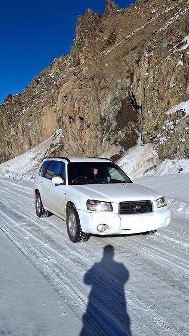 Subaru: Subaru Forester: 2002 г., 2 л, Автомат, Бензиновая, Кроссовер — 6