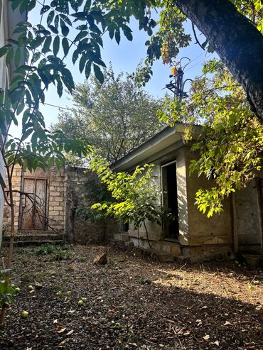 Kirayə torpaq sahələri: 13 sot İşıq — 9