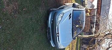 putnicki kombi: VRATA EYLC BOJA ZA PEUGEOT 206 | Vrata za peugeot 206 u EYLC — 5