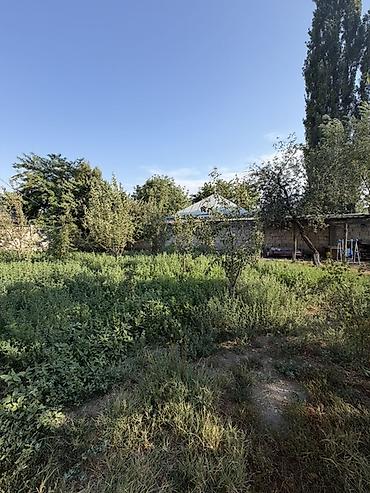 the level: 📍 В Романовке от трассы 200 м продается дом на участке 12 соток — 5