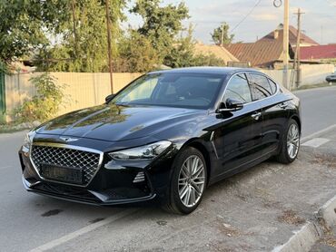 Hyundai: Hyundai Genesis: 2018 г., 2 л, Автомат, Бензин, Седан — 2