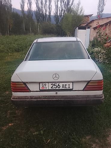 радиятор 124: Mercedes-Benz W124: 1987 г., 2.3 л, Автомат, Бензин, Седан — 5