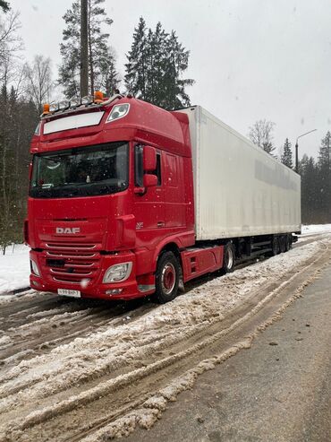 самосвал даф: Тягач, DAF, 2016 г., Рефрижератор