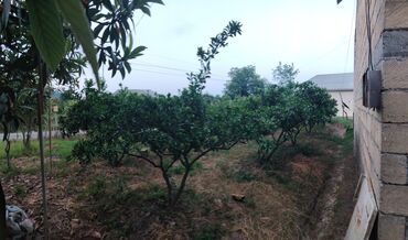 Torpaq sahələrinin satışı: 25 sot, Tikinti, Mülkiyyətçi, Bələdiyyə -da lalafo.az — 4 Torpaq sahələrinin satışı: 25 sot, Tikinti, Mülkiyyətçi, Bələdiyyə — 4