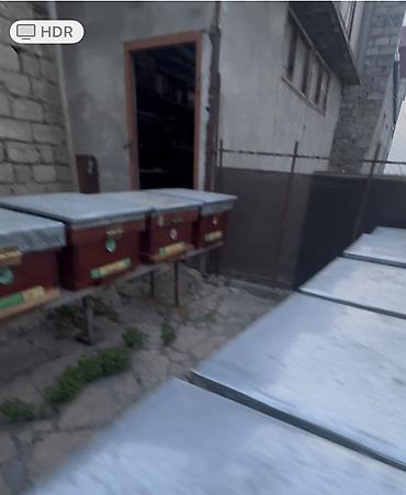 arı yuvası: Arıçılıq üçün taxta arı yeşikləri (pətəklər). İçində 6 ay arı — 3