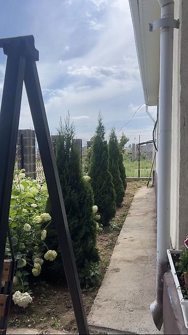 санат пансионат: 🔥 ГОТОВЫЙ БИЗНЕС НА ИССЫК-КУЛЕ! 🏡 Продаётся гостевой дом в Сары-Ой — — 4