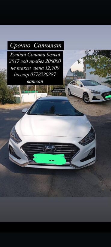 хюндай саната: Hyundai Sonata: 2017 г., 2 л, Автомат, Газ, Седан