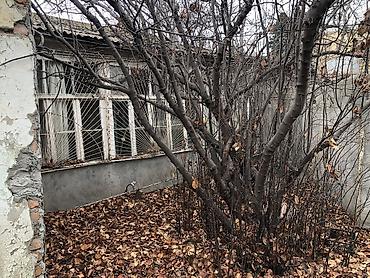 Həyət evləri və villaların satışı: 5 otaqlı, 175 kv. m — 18