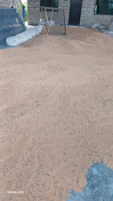 10 ton ağ dari satilir 70 qepik. unvan goranboy rayon