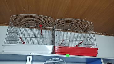 Зоотовары: Клетки для птиц! — 8