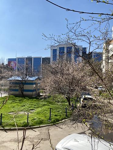 Продажа квартир: 2 комнаты, 65 м², Индивидуалка, 3 этаж, Евроремонт — 16