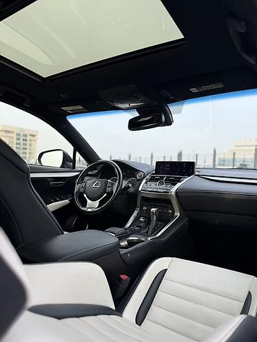 Lexus: Lexus NX: 2019 г., 2 л, Автомат, Бензин, Кроссовер — 8