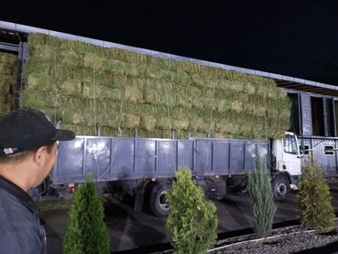 продам сельхоз животных: Продаю Клевер 1-кос Чистый Сухой Плотный тюки Доставка есть Любом