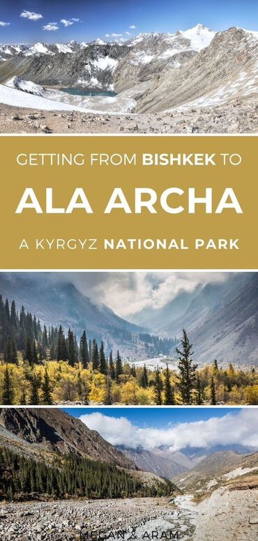 пэт бутылка: Аэропорт, По городу Такси, легковое авто | 4 мест