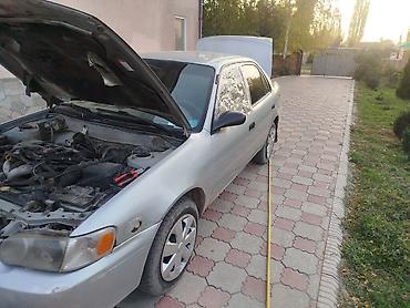 Toyota: Toyota Corolla: 2001 г., 1.8 л, Автомат, Газ, Седан — 8