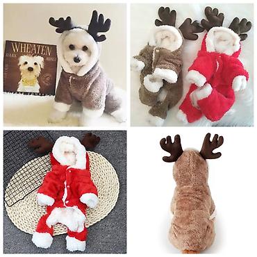 Зоотовары: ПРОДАЮ НОВЫЕ АВТО/КОРМУШКИ АВТО/ПОИЛКИ ДЛЯ КОШЕК И СОБАК(с — 15