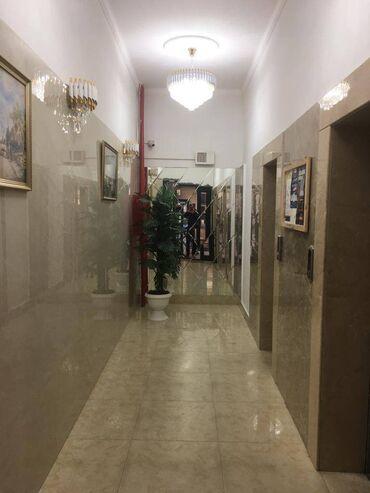 Yeni tikili: Ağ şəhər, 4 otaqlı, Yeni tikili, m. Xətai, 225 kv. m — 19