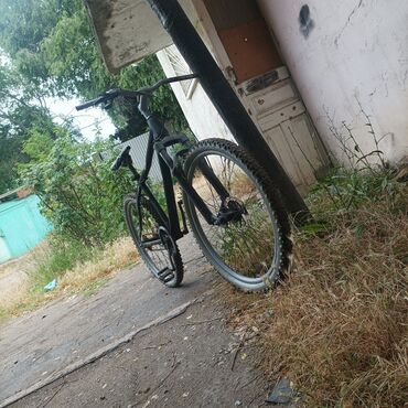 velosıpet: Dağ velosipedi 26"
