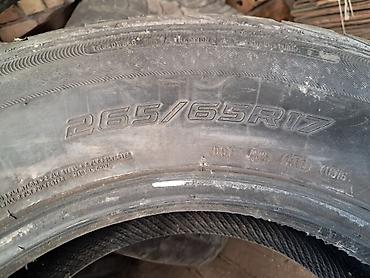 катали: Комплект шин AUSTONE Athena SP306 A/T - Тип: летние/всесезонные шины — 2
