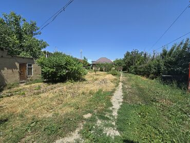 продается орошаемая земля в жайылско районе алтыр будёновка 5 40 гектар цена договорная с довой проблем нету оформление сразу: 13 соток, Для бизнеса, Красная книга, Тех паспорт, Договор дарения