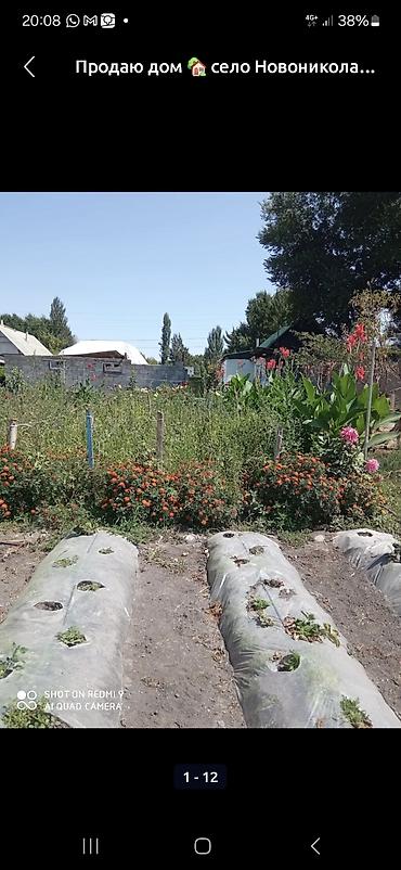 Продажа коттеджей и домов: Продаётся дом с участком в селе Новониколаевка. Описание участка: - — 1