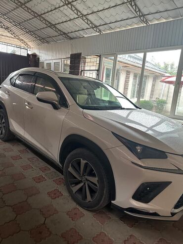 продам срочно машину: Lexus NX: 2018 г., 2 л, Автомат, Бензин