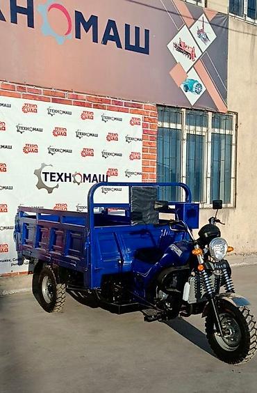 Мотороллеры муравей: Мотороллер муравей Бензин, 250 - 299 км, 1500 кг и более, Новый, В рассрочку — 2