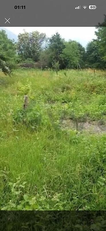 buzovnada torpaq: Yan qonşular muasir tipli villalar Torpaq sahəsi – yaşıllıqla əhatəli — 1