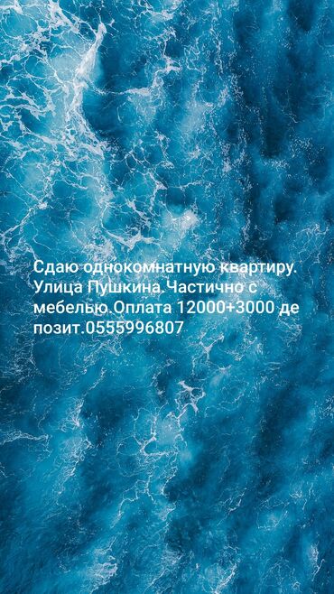 квартира берилет ак ордодон: 1 бөлмө, Менчик ээси, Чогуу жашоосу жок, Толугу менен эмереги бар