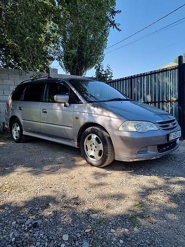 туманник на одиссей: Honda Odyssey: 2002 г., 2.3 л, Автомат, Бензин, Универсал — 1