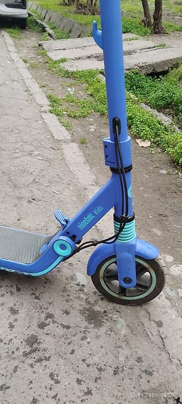 Электросамокаты: Электросамокат, Ninebot, Б/у — 4