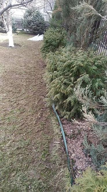 Уборка территории: Уборка территории, Уборка двора и сада — 3