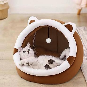 котята простые: 🐱 Домик для кошки — 1990 сом Уютный и удобный домик для вашего питомца — 7