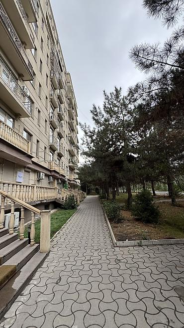 Продажа квартир: 2 комнаты, 54 м², 8 мкр Элитка, 7 этаж, Евроремонт — 3