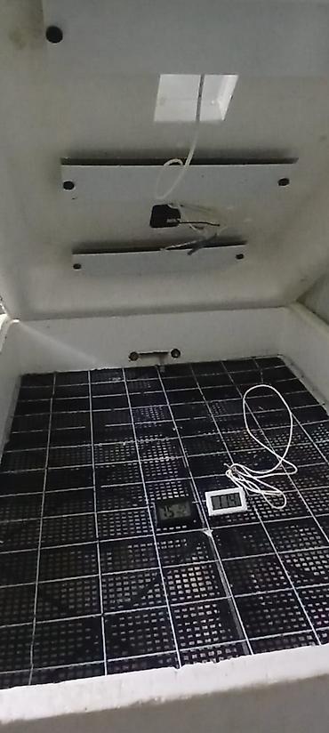 İnkubatorlar: Ev quşlarının yumurtadan çıxarılması üçün inkubator - Material: qalın — 2