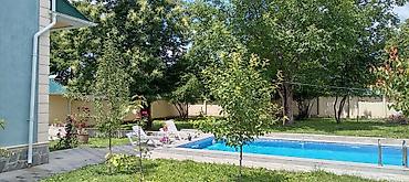 hövsan türkan: Qəbələ şəhərinin yuxarı hissəsində, Cəfər Cabbarlı küçəsində, geniş — 5