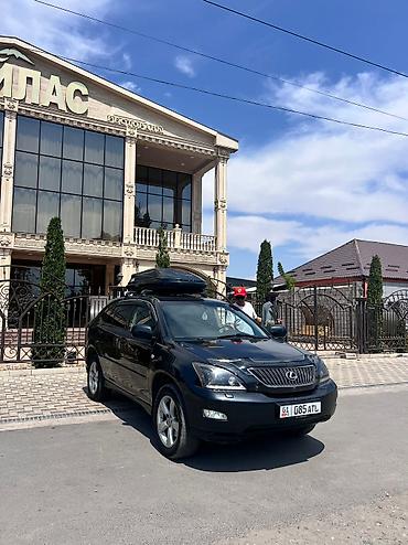 Lexus: Lexus RX: 2004 г., 3 л, Автомат, Бензин, Внедорожник — 18